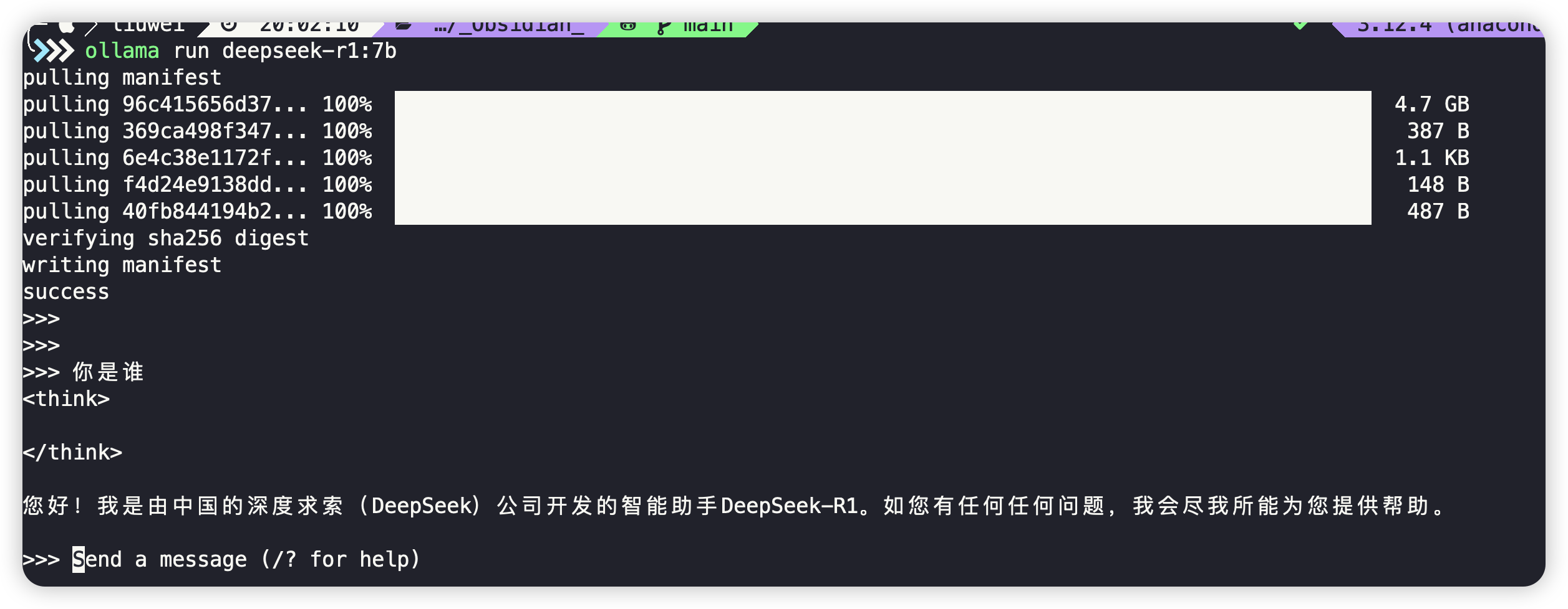 image-20250315200950132